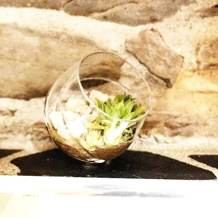 Casa Da Ferreira_vila Real